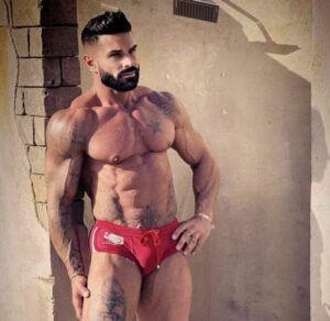 Chippendale Metz